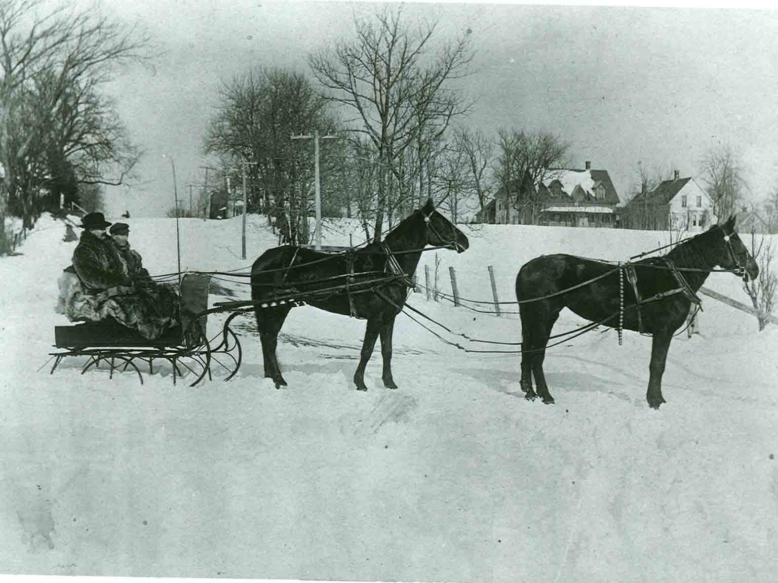 Cockburn in Sleigh
